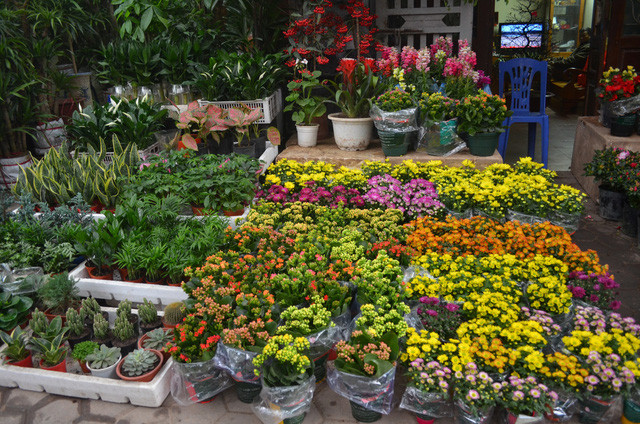 Điểm danh những khu chợ hoa tết nổi tiếng từ Bắc vô Nam - ảnh 3