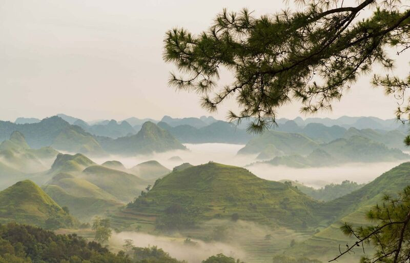 Săn mây tại đồi thông Vinh Quý