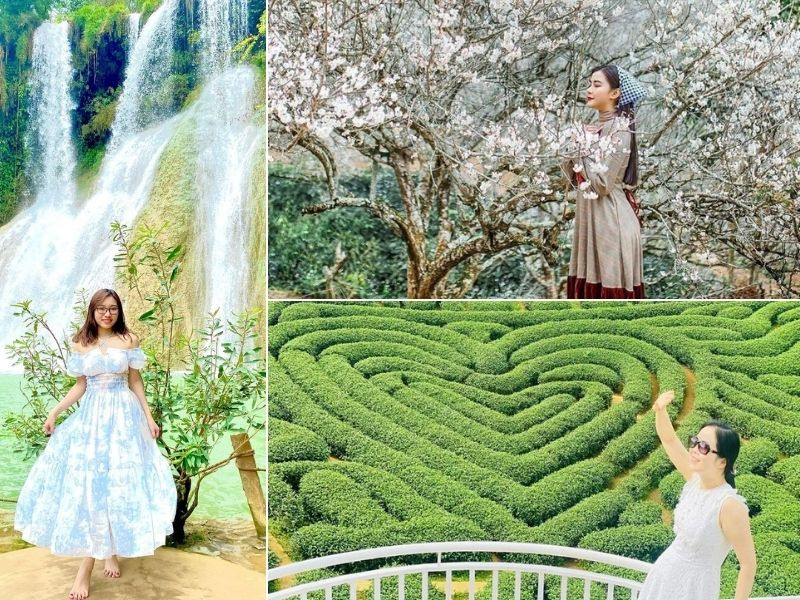 Đến Mộc Châu - Đón năm mới giữa mùa hoa cao nguyên
