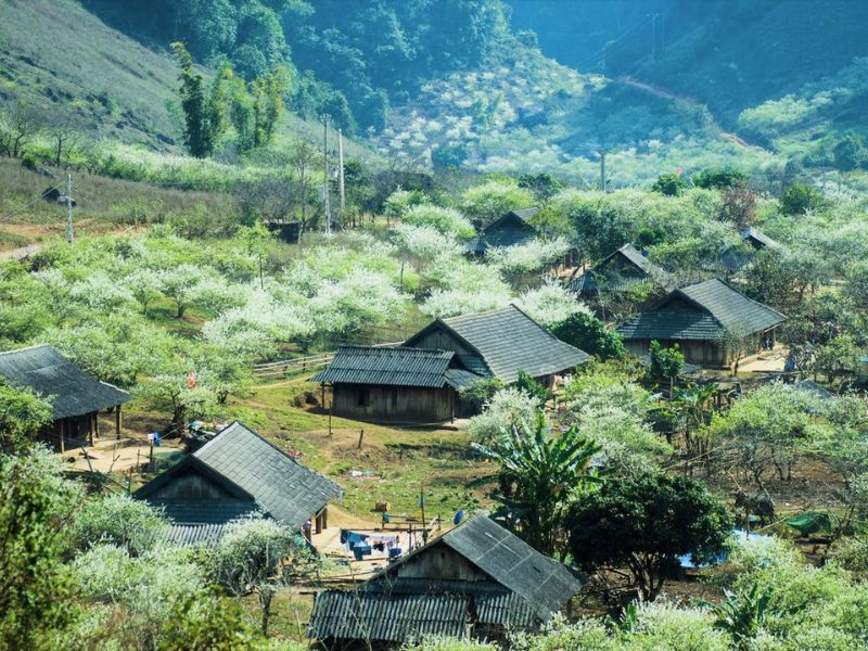 Không khí miền Bắc dịp Tễt