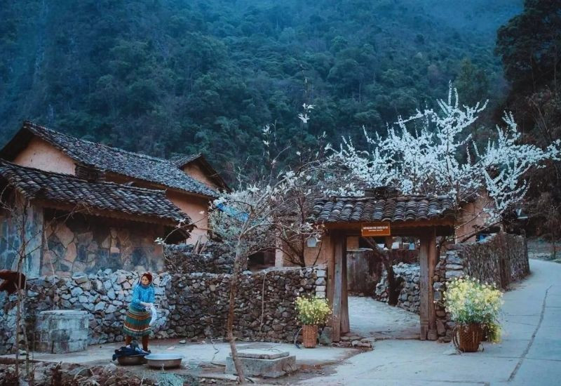 Những nếp nhà cổ nép mình giữa núi rừng Đồng Văn