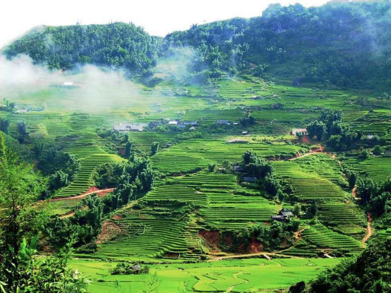 Thiên nhiên xanh mát trữ tình
