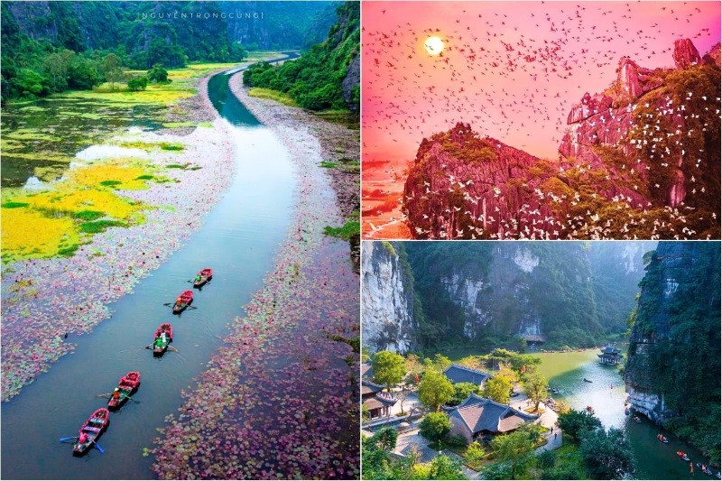 Mùa thu nổi bật với hoa súng, non nước và khung cảnh yên bình