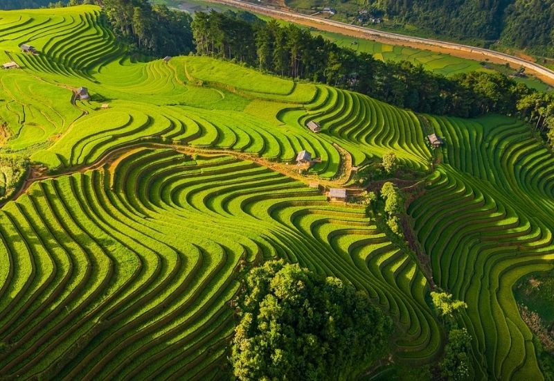 Bức tranh muôn màu rực rỡ ở Phố Cáo Hà Giang