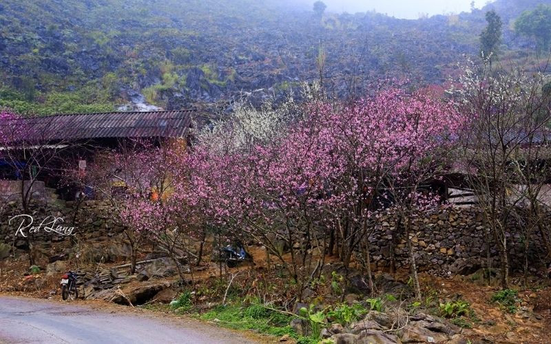 Đồng Văn là điểm du lịch không thể nào bỏ lỡ