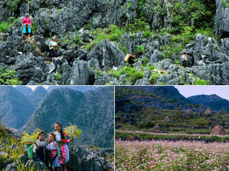 Du lịch Hà Giang Tết chiêm ngưỡng vẻ đẹp của Cao nguyên đá Đồng Văn