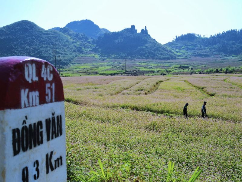 Check-in cao nguyên đá Đồng Văn