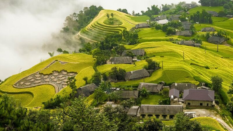 Du lịch Hà Giang mùa lúa chín - Chiêm ngưỡng cảnh đẹp Bản Luốc