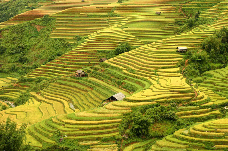 Du lịch Hà Giang lễ 2/9 - Ngắm nhìn những thửa ruộng chín vàng