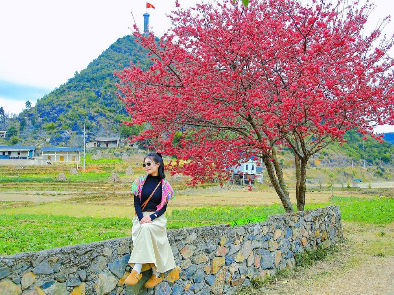 Hà Giang - địa điểm được “săn đón” nhất mỗi dịp Tết Hà Giang - địa điểm được “săn đón” nhất mỗi dịp Tết