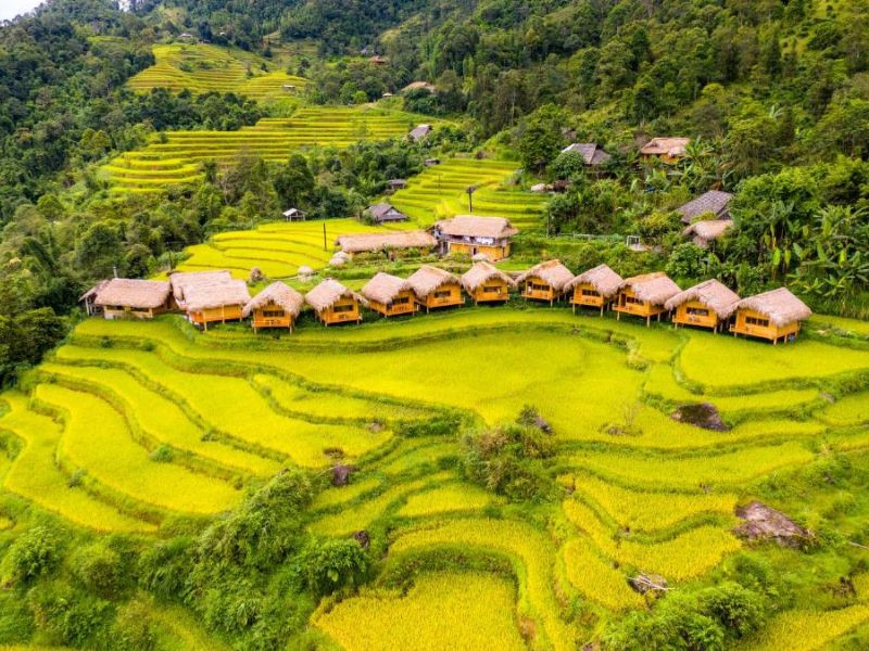 Hoàng Su Phì - điểm hẹn của mùa vàng