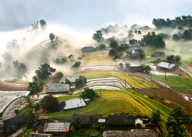 Du lịch Hà Giang - Cảnh sắc mùa lúa chín ở Ruộng bậc thang Bản Phùng