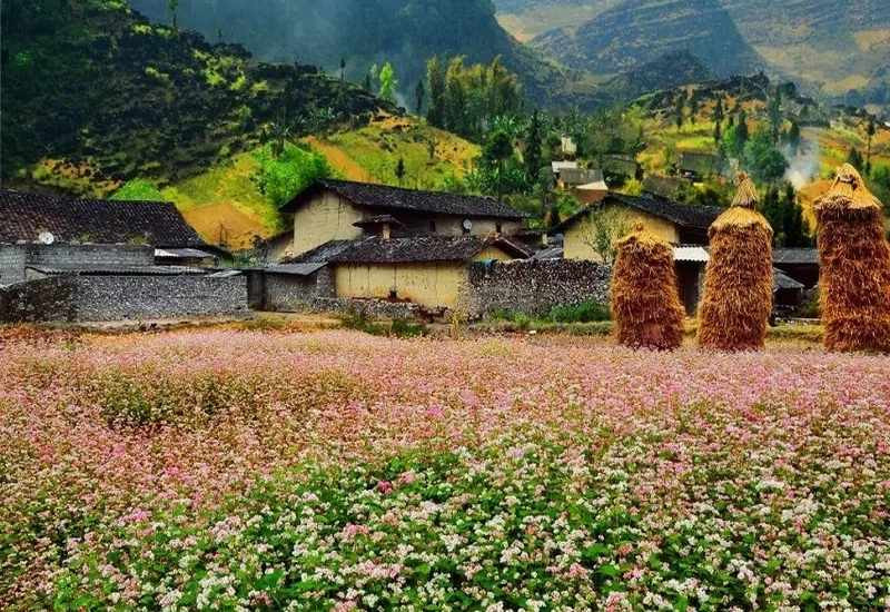 Thung lũng Sủng Là giữa những dãy núi đá đặc trưng của cao nguyên Đồng Văn
