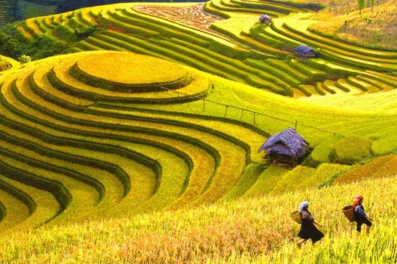 Vẻ đẹp bao la, thơ mộng của Hoàng Su Phì 