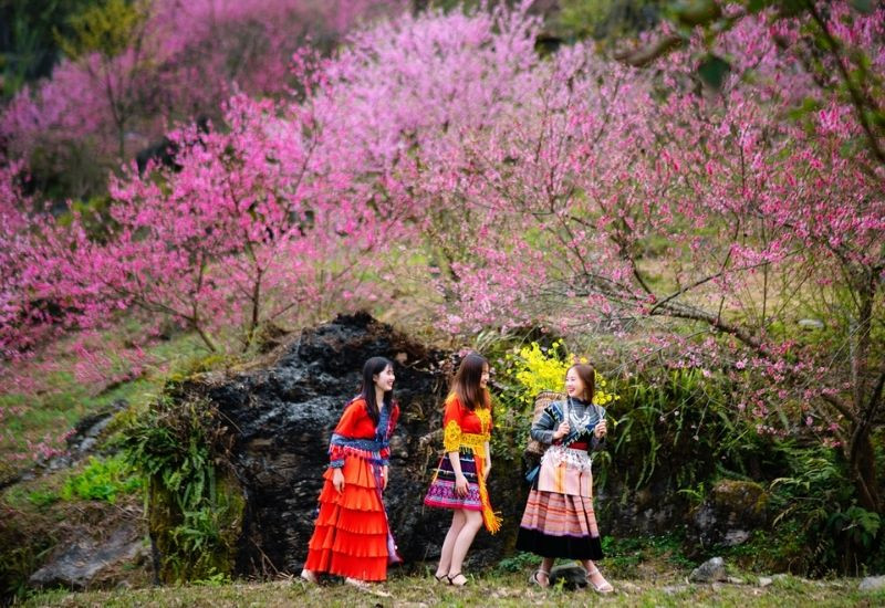 Kinh nghiệm du lịch Cao Mã Pờ