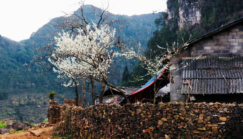 Phong cảnh thiên nhiên êm đềm tại bản Lao Xa 