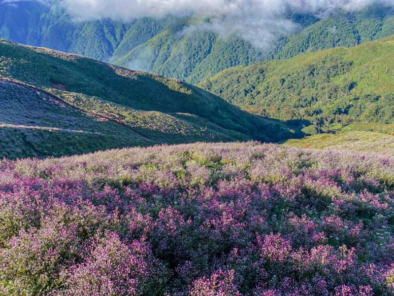 Tà Chì Nhù vào tháng 10 (ảnh: sưu tầm)