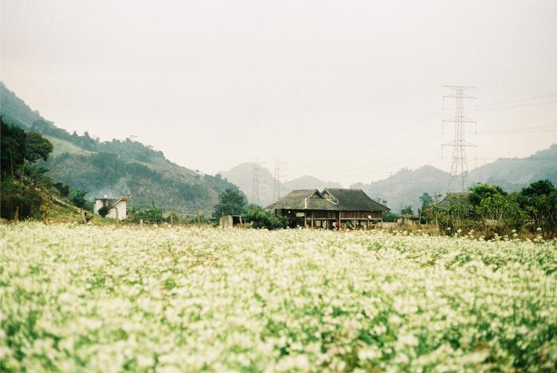 Bản Pa Phách