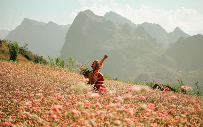 Cao nguyên Đồng Văn Hà Giang