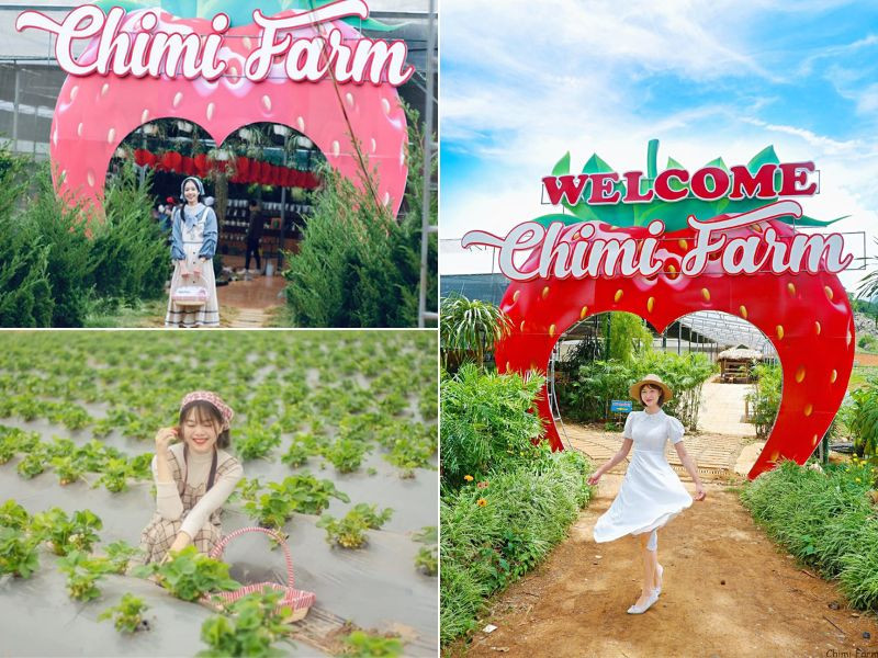 Nhiều góc sống ảo xinh xắn tại farm