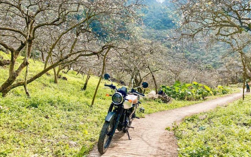 Cung đường mòn tuyệt đẹp giữa thung lũng mận 