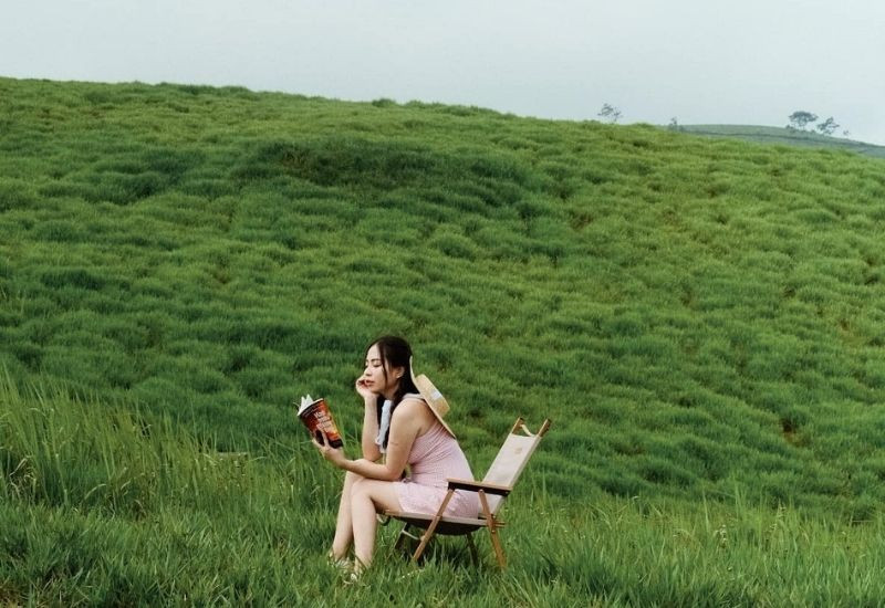 Đồng cỏ 68 Mộc Châu