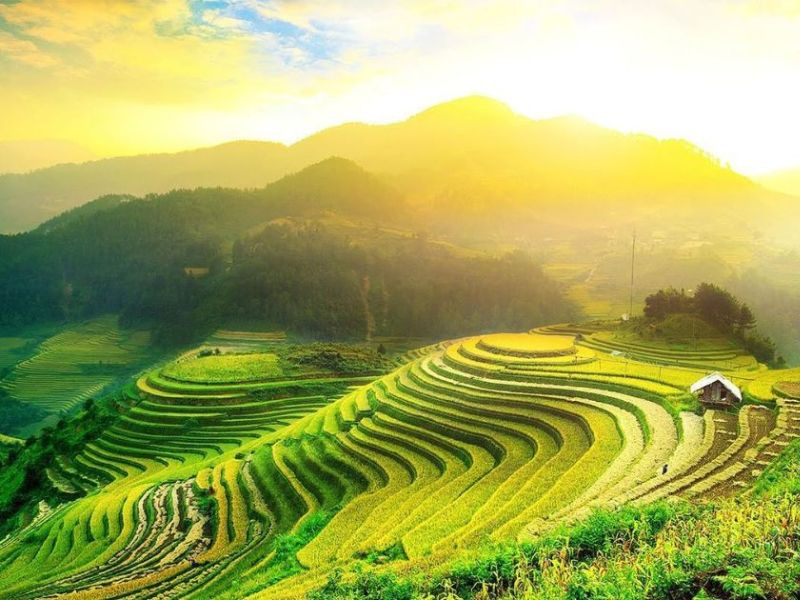 Thiên nhiên xanh ngát tại Mộc Châ