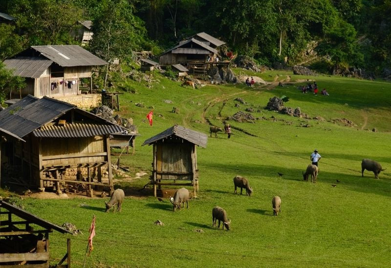 Hang Táu Mộc Châu