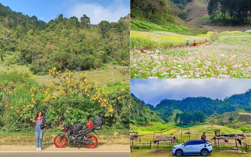 Lóng Luông - Bản nhỏ mơ màng giữa đại ngàn Tây Bắc