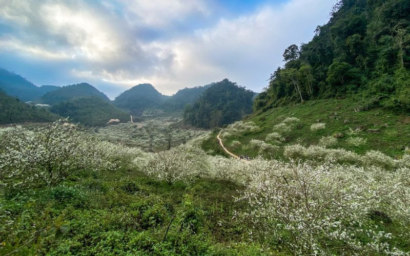 Mu Náu Farm với khung cảnh tự nhiên thơ mộng, không quá đông đúc 