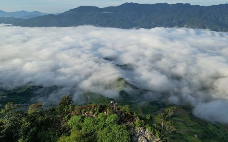 Săn mây là hoạt động không thể bỏ lỡ khi du lịch Mộc Châu