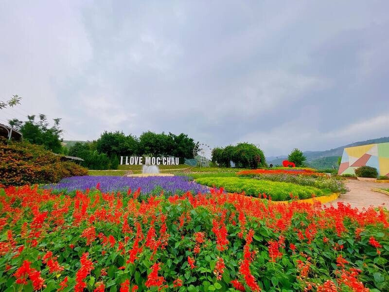 Vườn hoa Happy Land