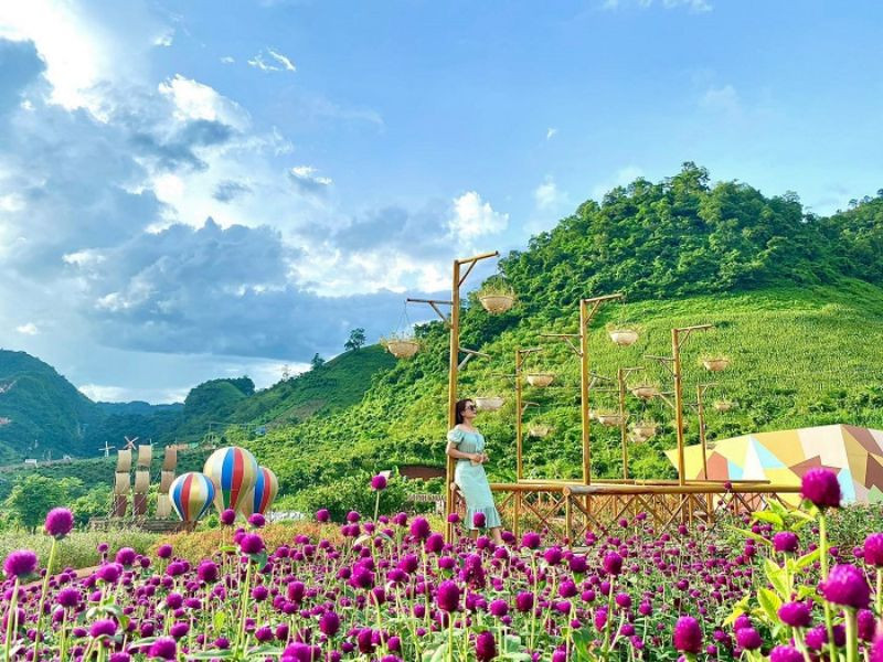 Happy Land - thiên đường hoa tuyệt đẹp ở Mộc Châu 
