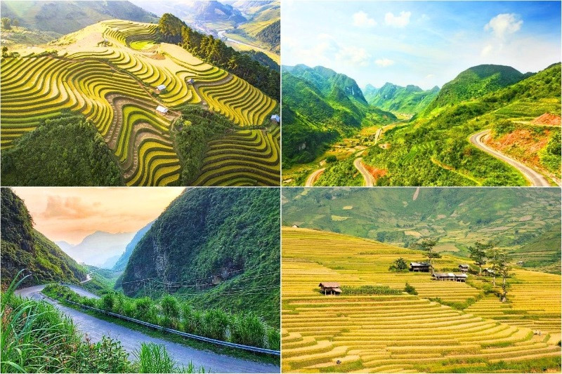 Đèo Khau Phạ mang đến góc nhìn toàn cảnh thung lũng Tú Lệ Đèo Khau Phạ mang đến góc nhìn toàn cảnh thung lũng Tú Lệ