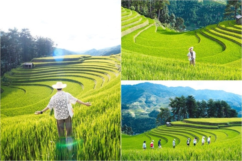 Đồi gây ấn tượng với ruộng bậc thang cong mềm Đồi gây ấn tượng với ruộng bậc thang cong mềm