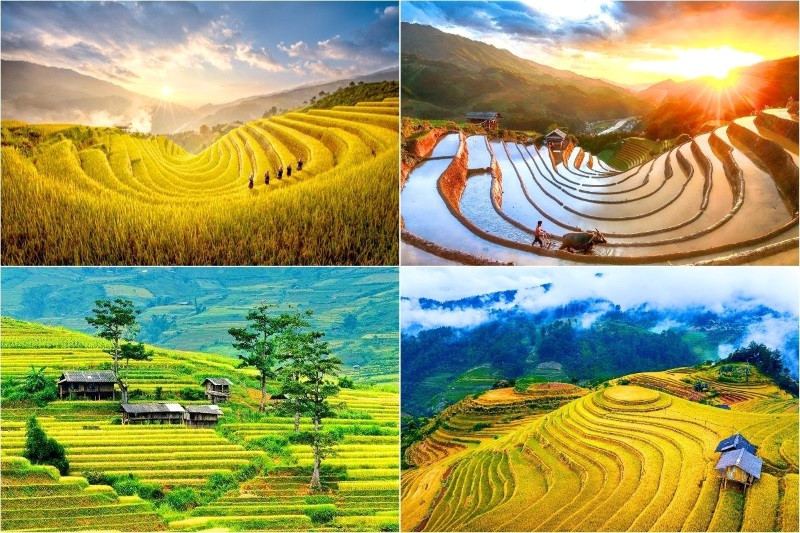 Giải đáp Mù Cang Chải đi mùa nào đẹp Giải đáp Mù Cang Chải đi mùa nào đẹp