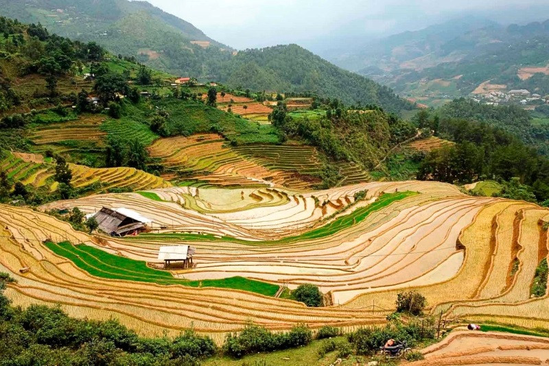 Khung cảnh ruộng bậc thang kết hợp núi non và mây trời Khung cảnh ruộng bậc thang kết hợp núi non và mây trời