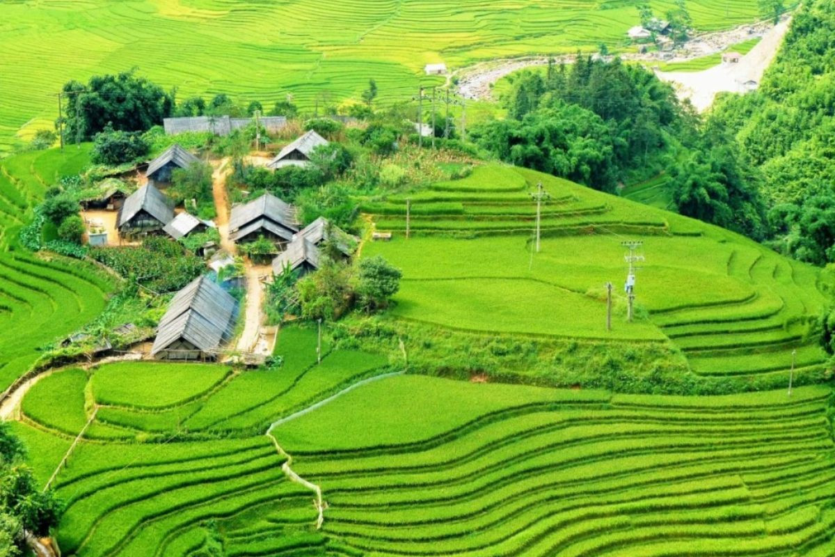 Khung cảnh Sapa vào tháng 8 khiến bạn đắm say 