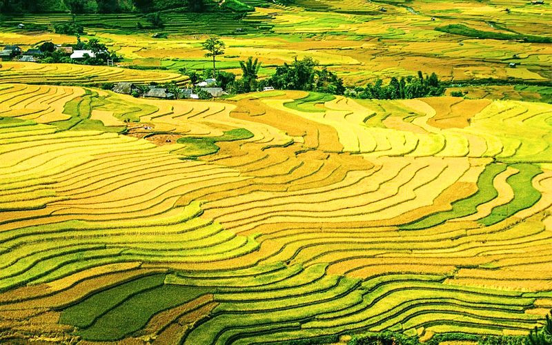 Vẻ đẹp của Sapa vào tiết thu đầy thơ mộng