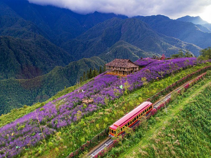 Khung cảnh thung lũng Mường Hoa (ảnh: sưu tầm)