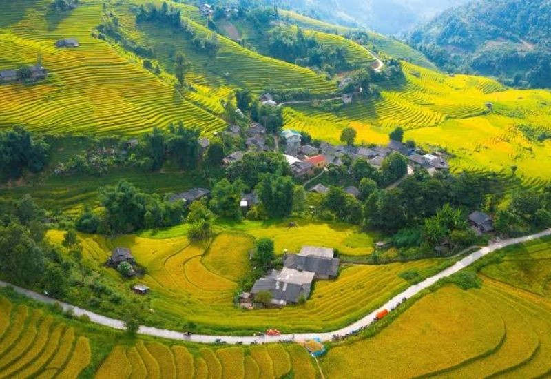 Thung lũng Mường Hoa nổi bật với ruộng bậc thang và bản làng nằm giữa núi rừng Sapa (Ảnh: Sưu tầm)