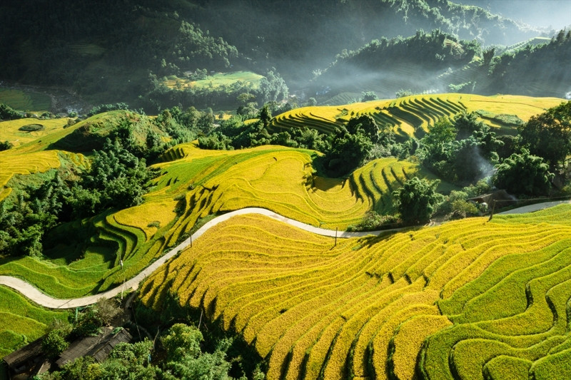 Kế hoạch cho chuyến đi 