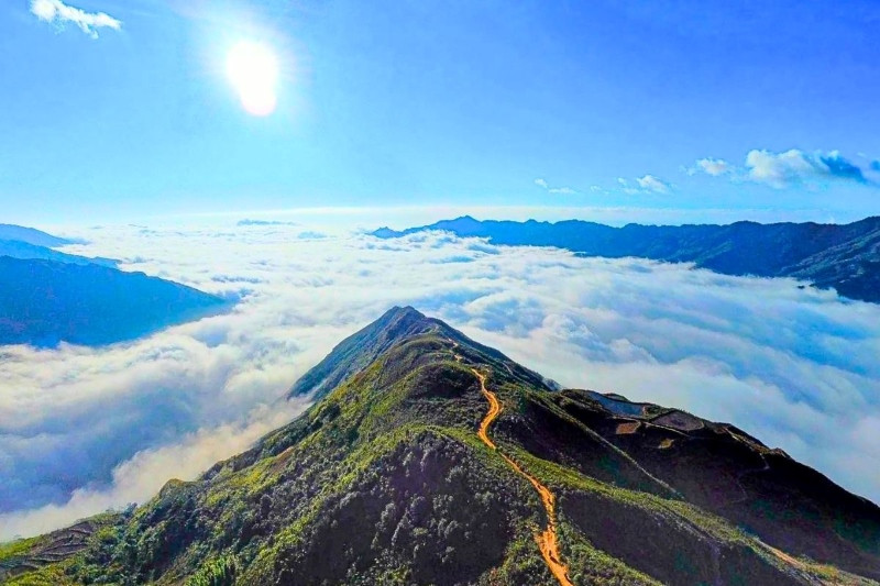 Mở ra tầm nhìn rộng xuống những thửa ruộng mùa vàng Mở ra tầm nhìn rộng xuống những thửa ruộng mùa vàng