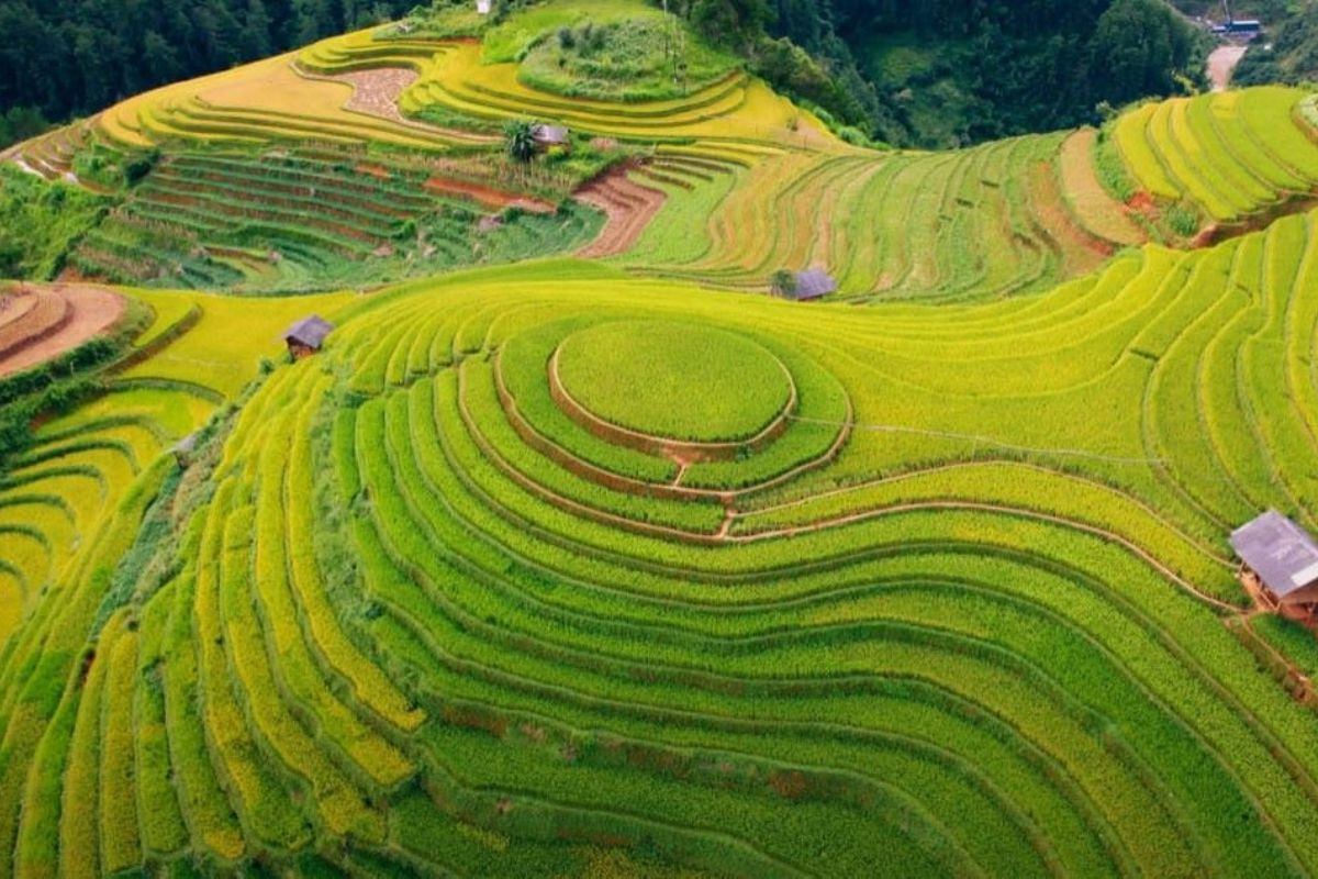 Mù Cang Chải - điểm đến lý tưởng vào tháng 8