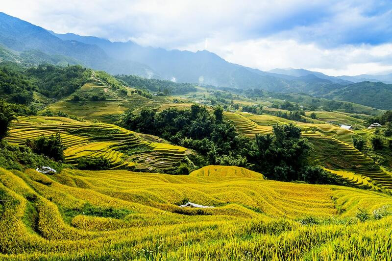 Ruộng bậc thang ở Bát Xát 