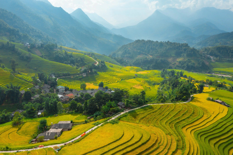 Ruộng bậc thang Sapa