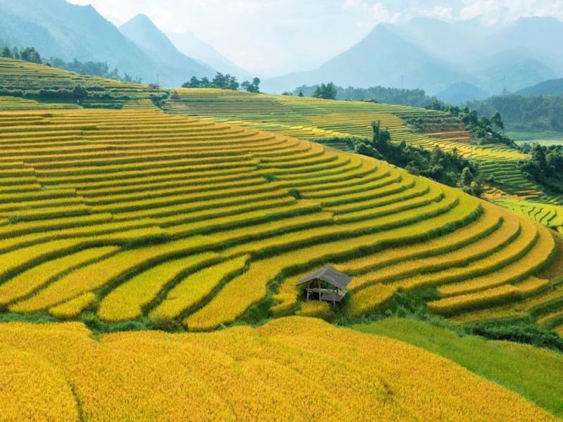 Ruộng bậc thang - dấu ấn đặc trưng của Mường Hoa (ảnh: sưu tầm) 