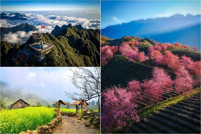 Săn mây, ngắm núi và tận hưởng không khí Tết se lạnh 