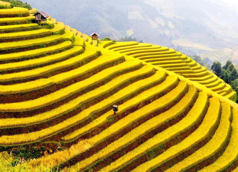 Du lịch Sa Pa tháng 9