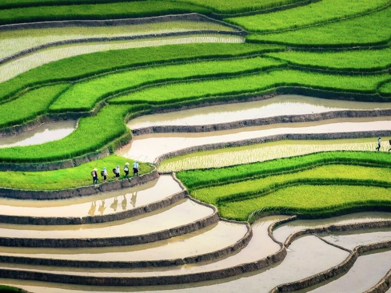 Thời tiết Sapa vào tháng 5 - 6
